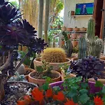 Casa Emilia 3*