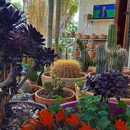 Casa Emilia 3*