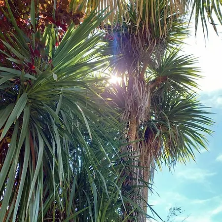 Casa Emilia Marano Principato