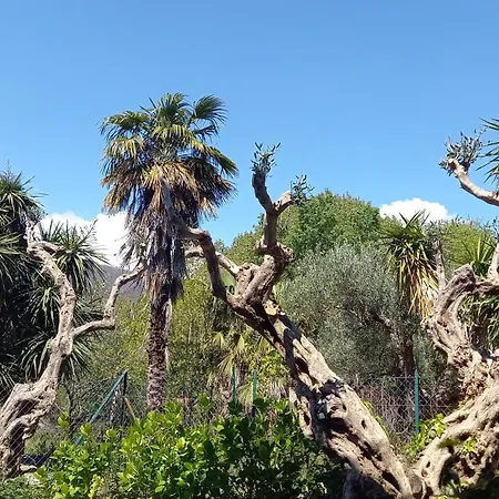 Casa Emilia 3*
