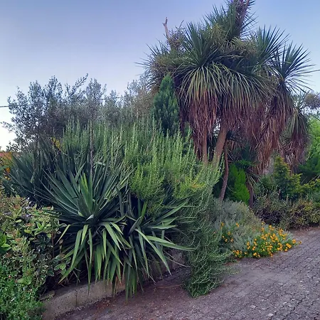 Casa Emilia 3*