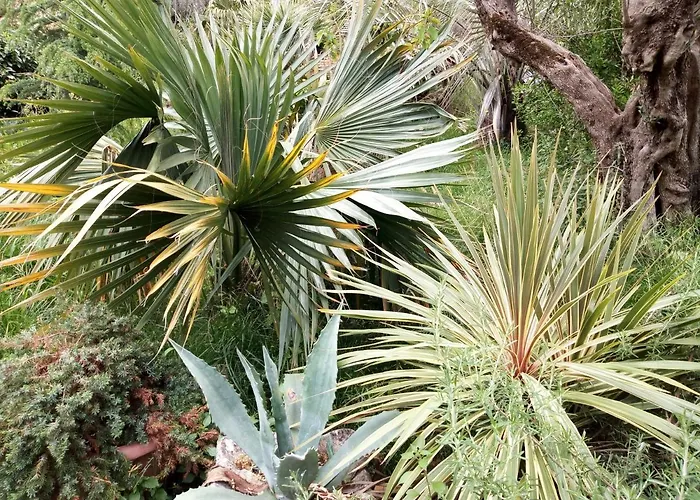 Casa Emilia 3* Marano Principato