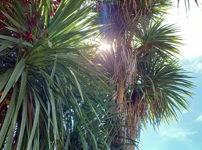 Casa Emilia Marano Principato